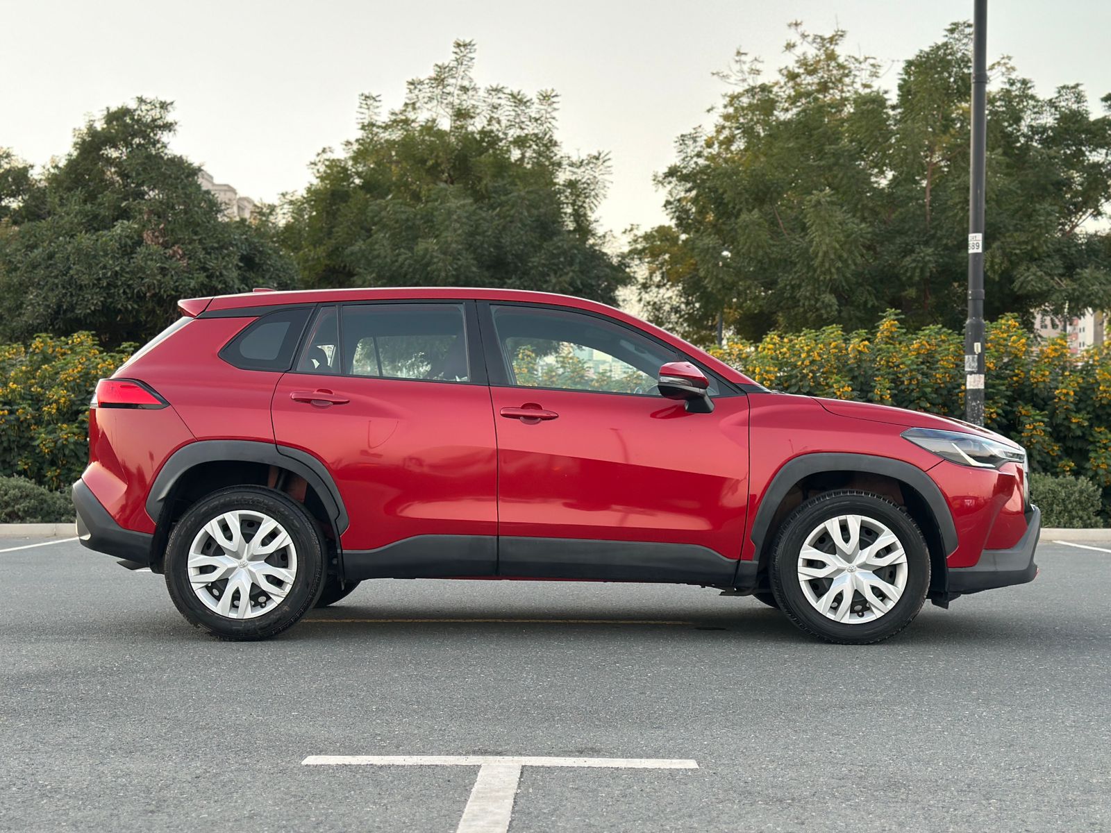 landscape