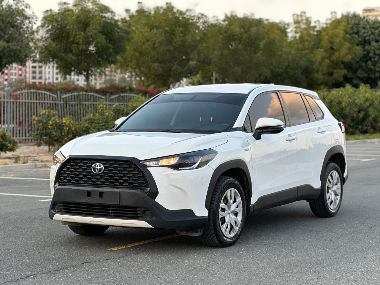 landscape
